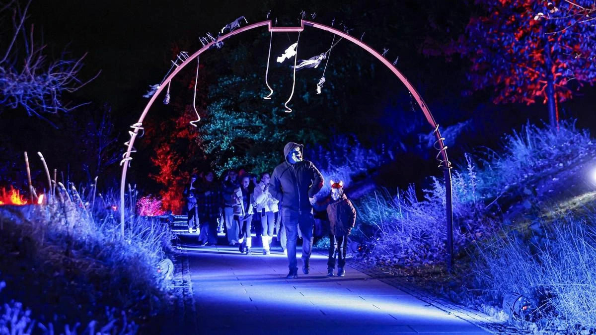 The Hollow Scarefest (Edinburgh) - Image 22