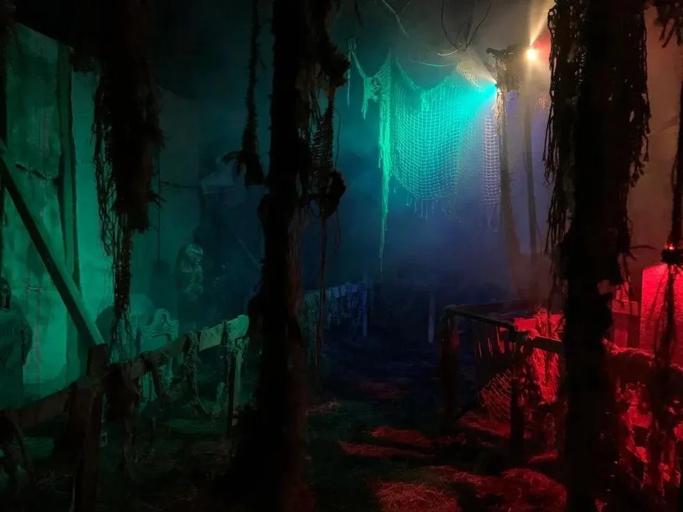 Saltram After Dark (Plymouth) - Image 5