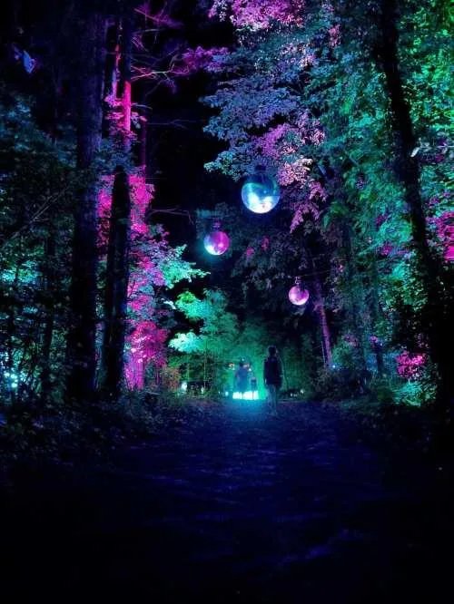Saltram After Dark (Plymouth) - Image 9