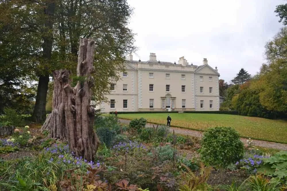 Saltram After Dark (Plymouth) - Image 10