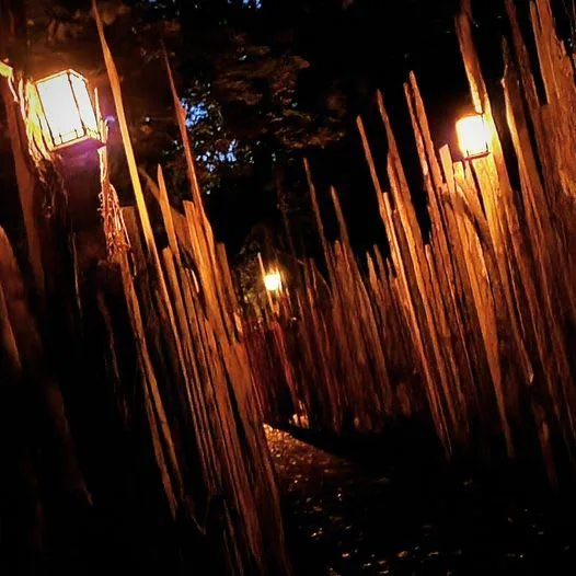 Saltram After Dark (Plymouth) - Image 12