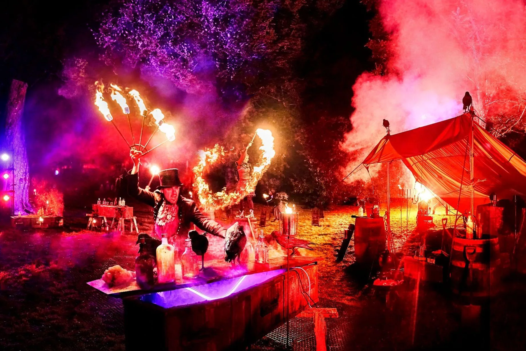 Saltram After Dark (Plymouth) - Image 19