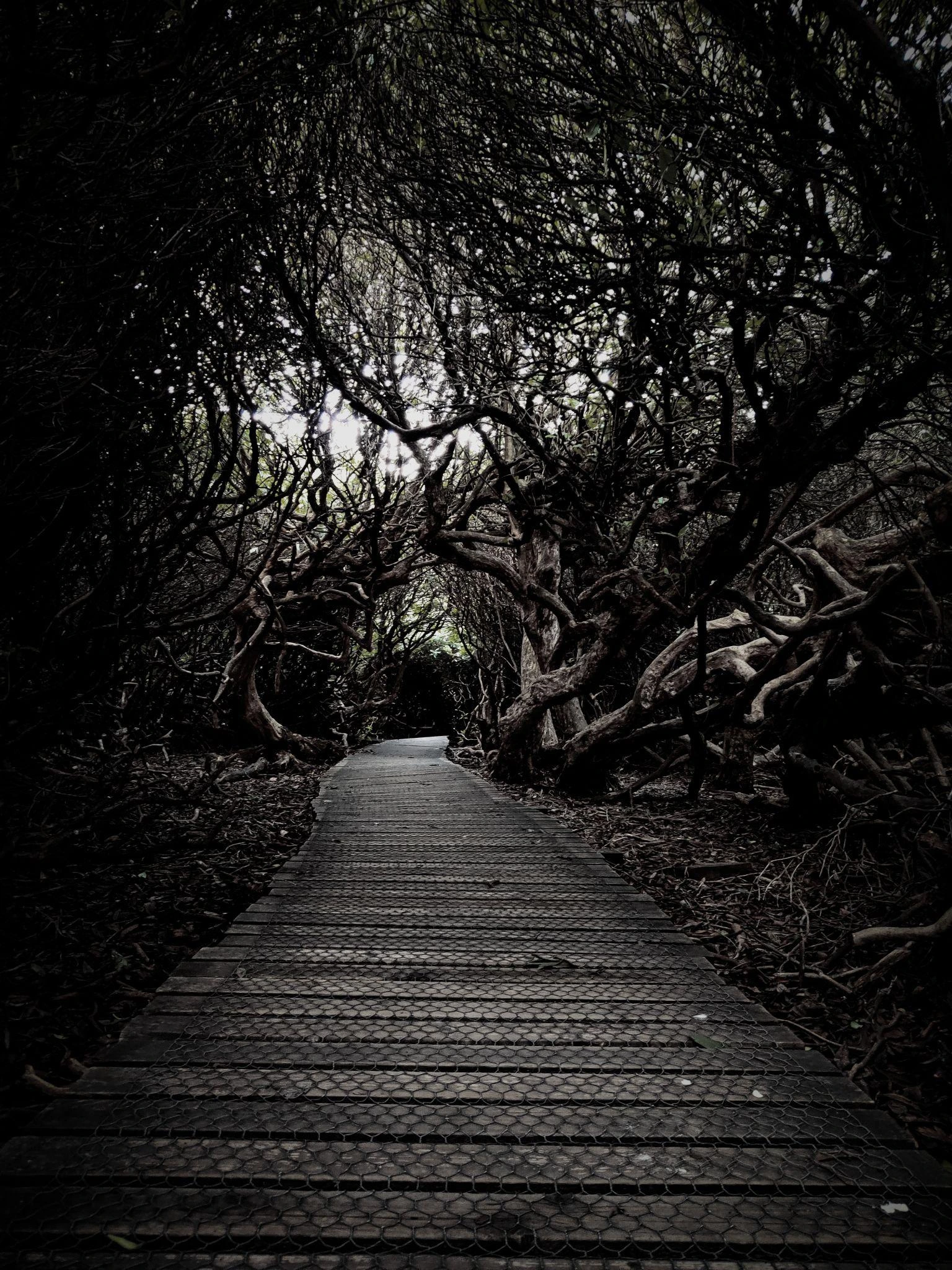 Temple Newsam After Dark (Leeds) - Image 14