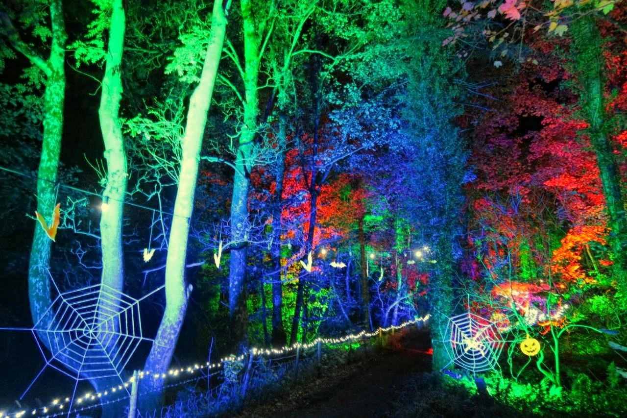 The Hollow Scarefest (Edinburgh) - Image 9
