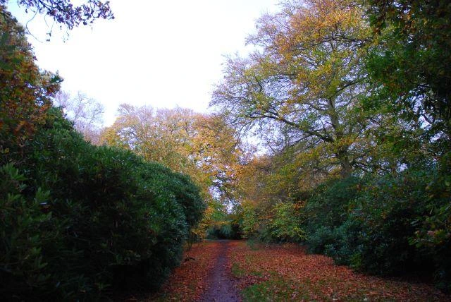 Croxteth After Dark (Liverpool) - Image 13