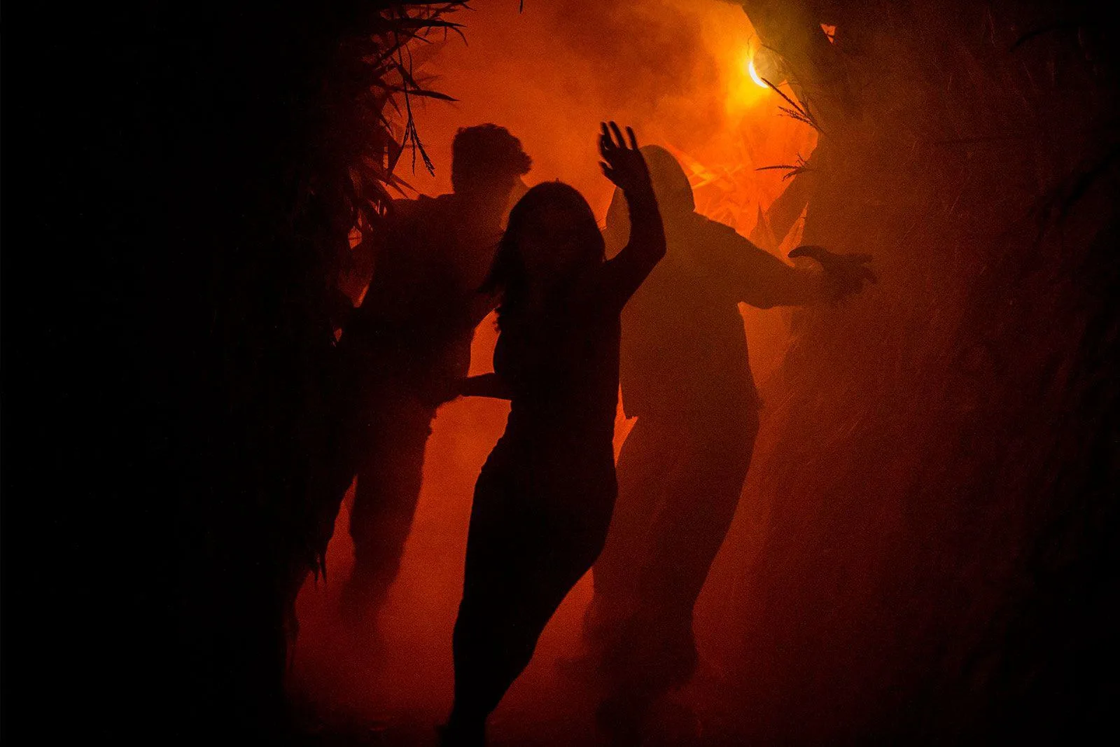Saltram After Dark (Plymouth) - Image 27