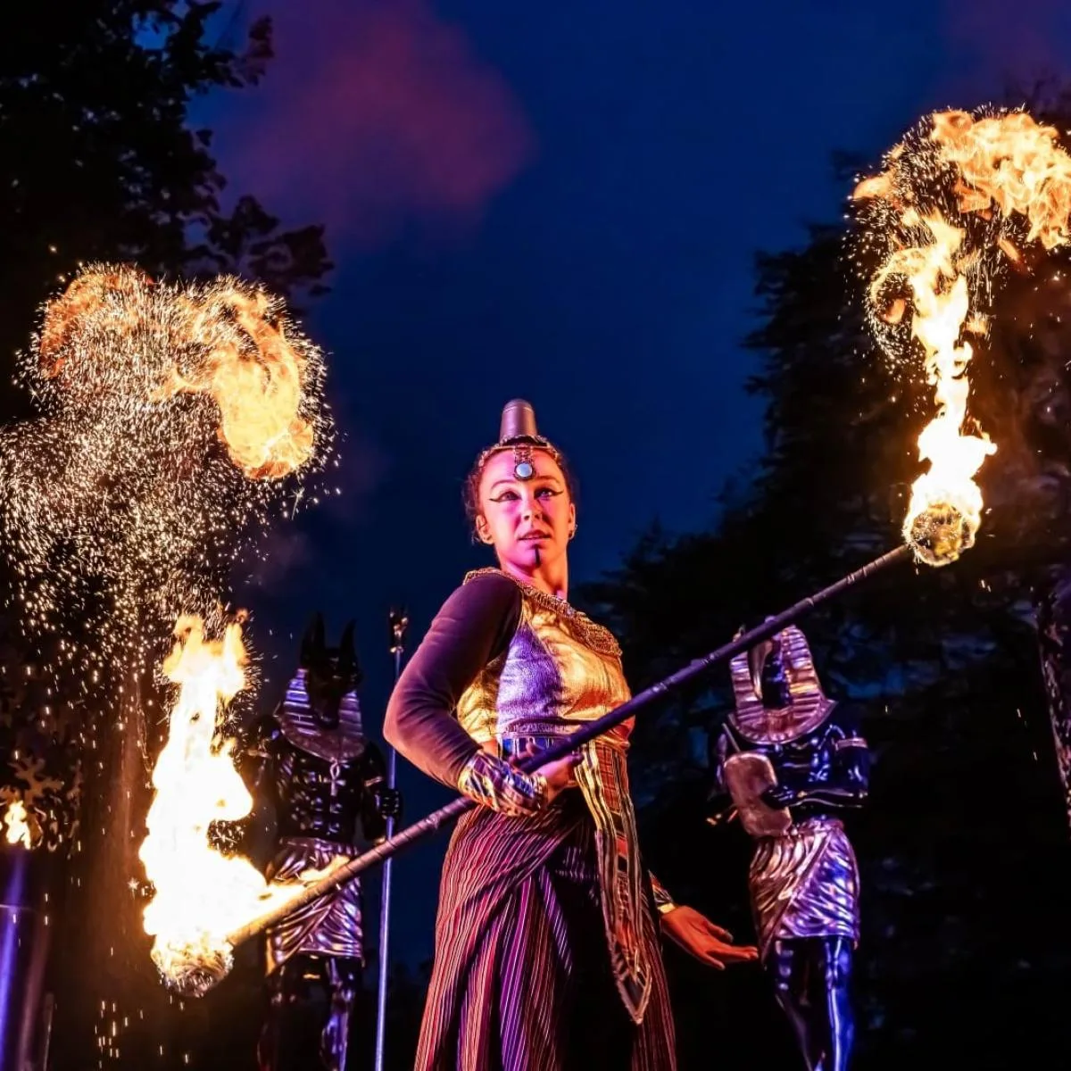 Saltram After Dark (Plymouth) - Image 34