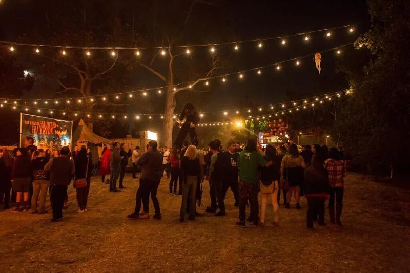 Saltram After Dark (Plymouth) - Image 38