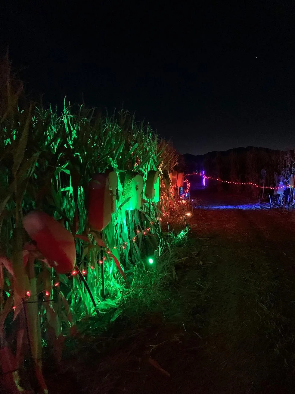 Saltram After Dark (Plymouth) - Image 41