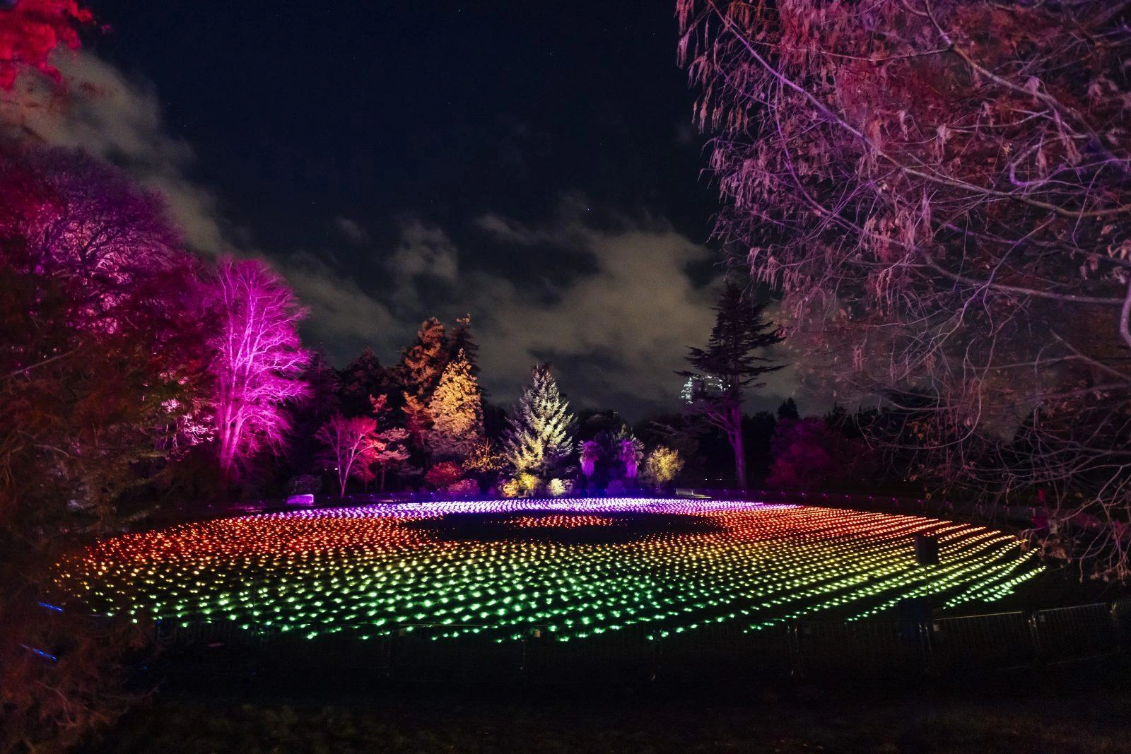 Temple Newsam After Dark (Leeds) - Image 49