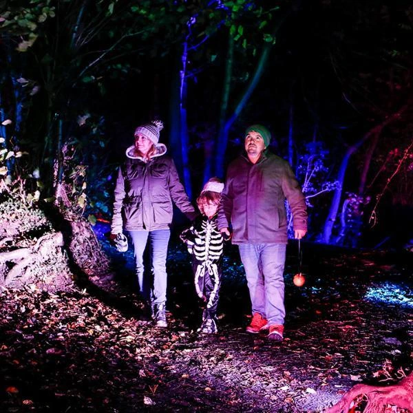 Temple Newsam After Dark (Leeds) - Image 50