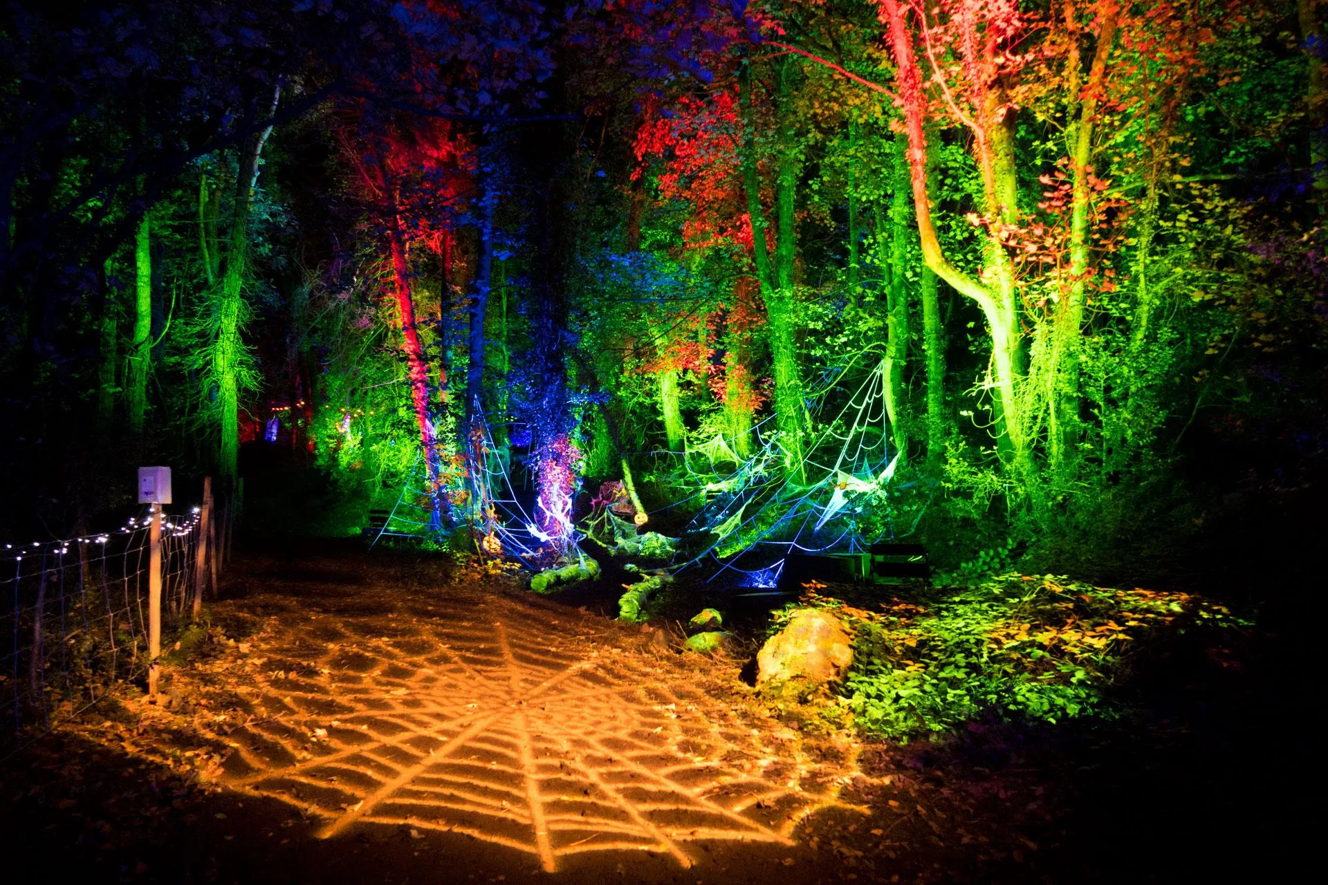 Saltram After Dark (Plymouth) - Image 50