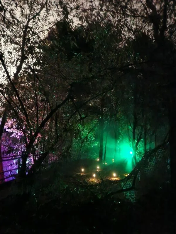 Saltram After Dark (Plymouth) - Image 56
