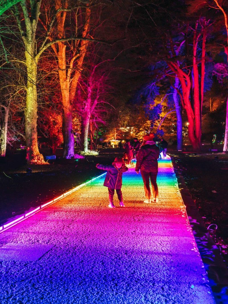 Temple Newsam After Dark (Leeds) - Image 56